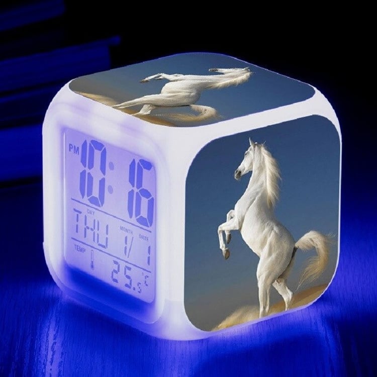 Productfoto