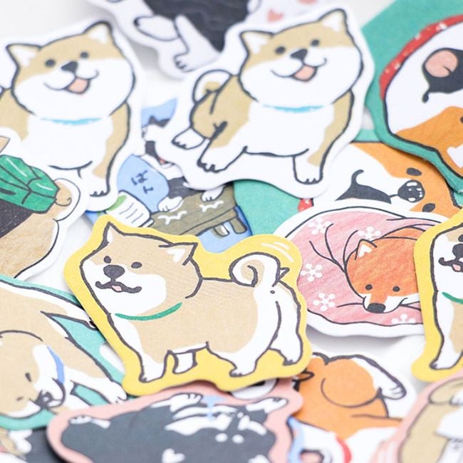 Product photo
