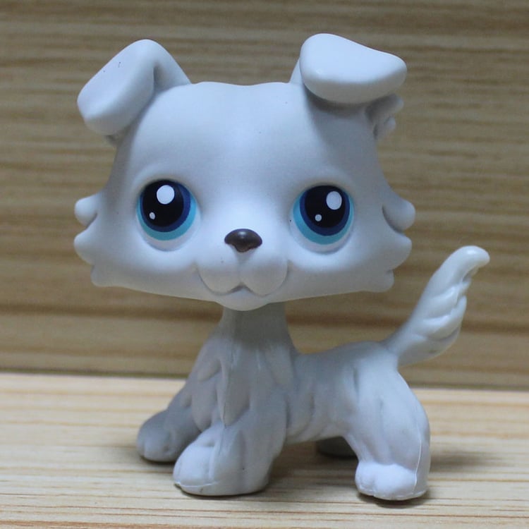 Product photo