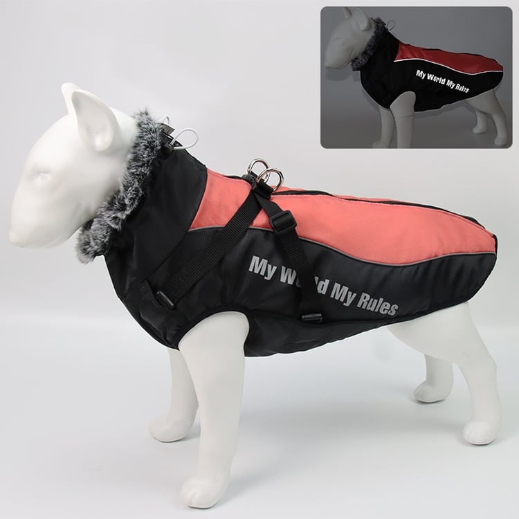 Product photo