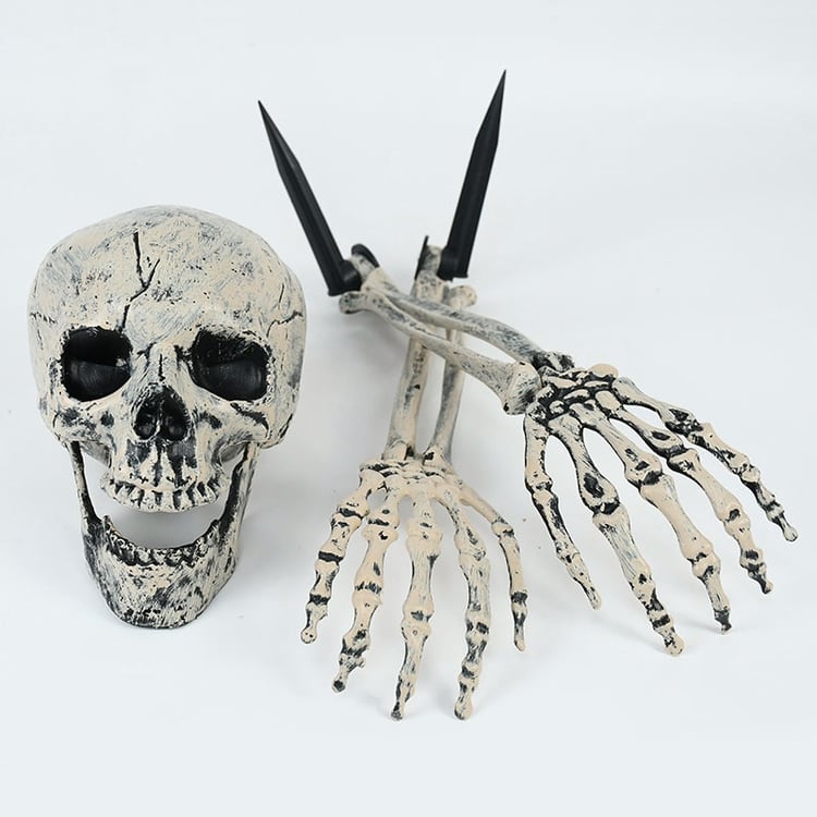 Product photo