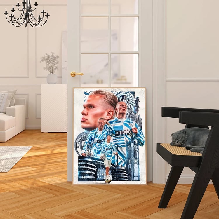 Photo du produit