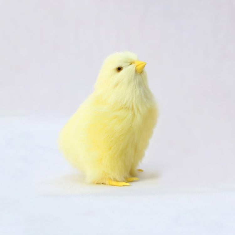 Productfoto