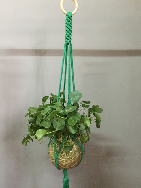 Product photo