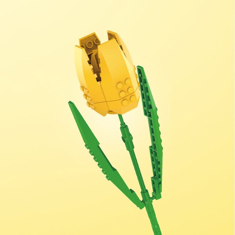 Productfoto