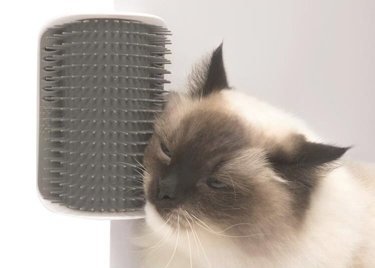 Product photo