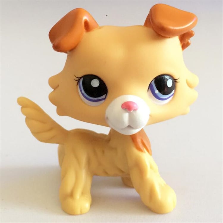 Product photo