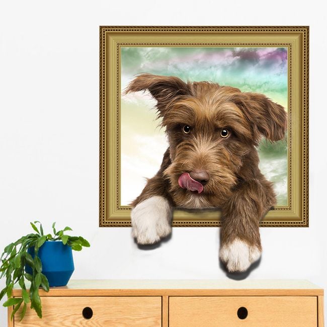 Product photo