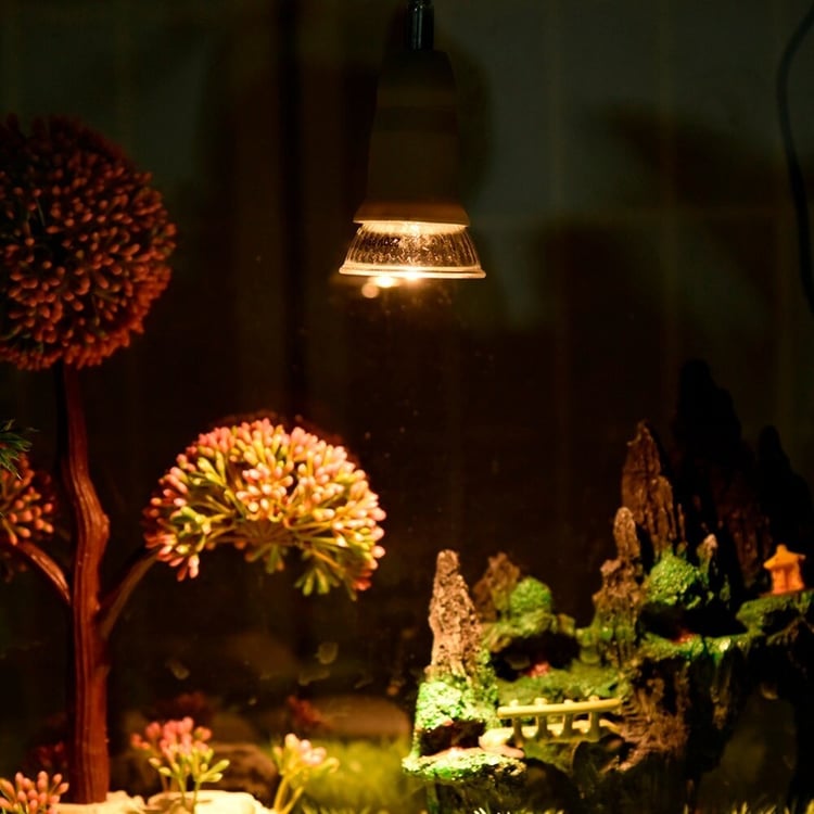 Productfoto