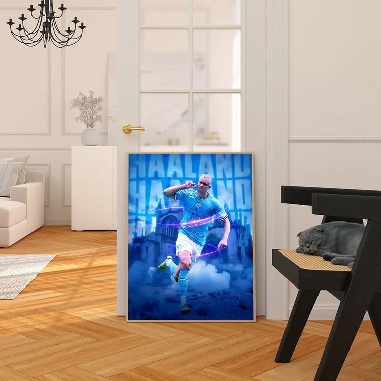 Photo du produit