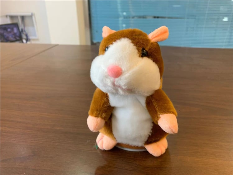 Product photo
