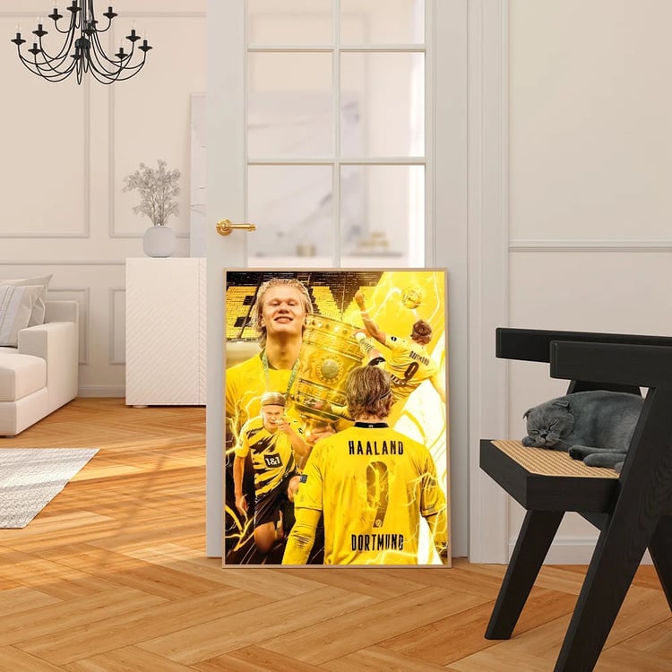 Photo du produit
