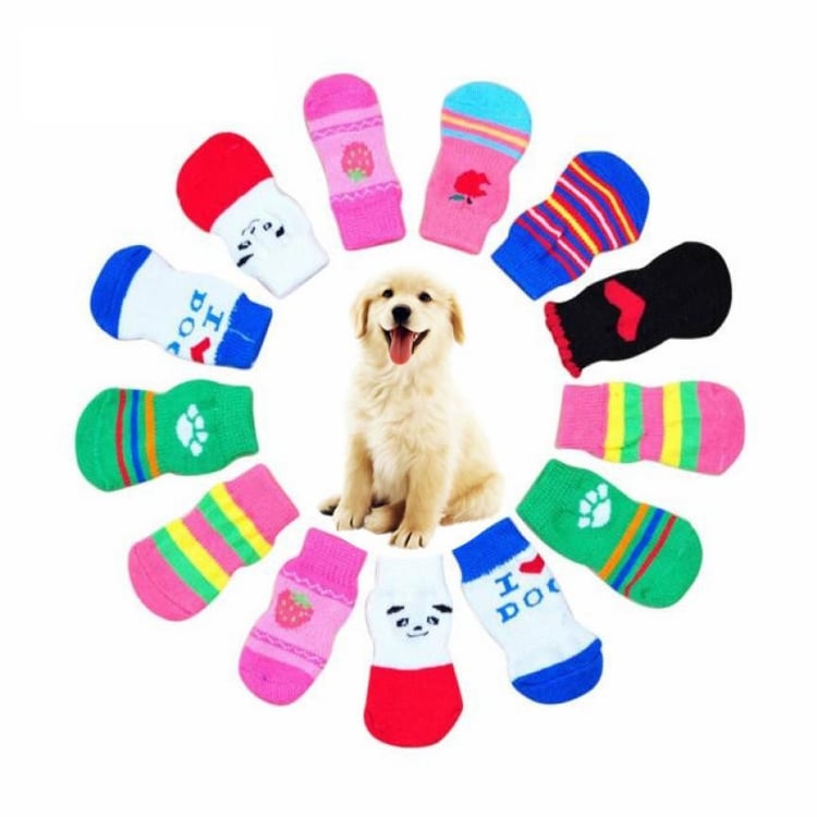 Product photo