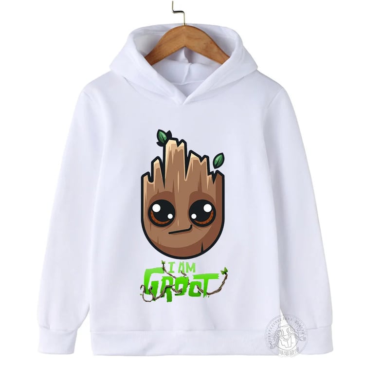 Photo du produit
