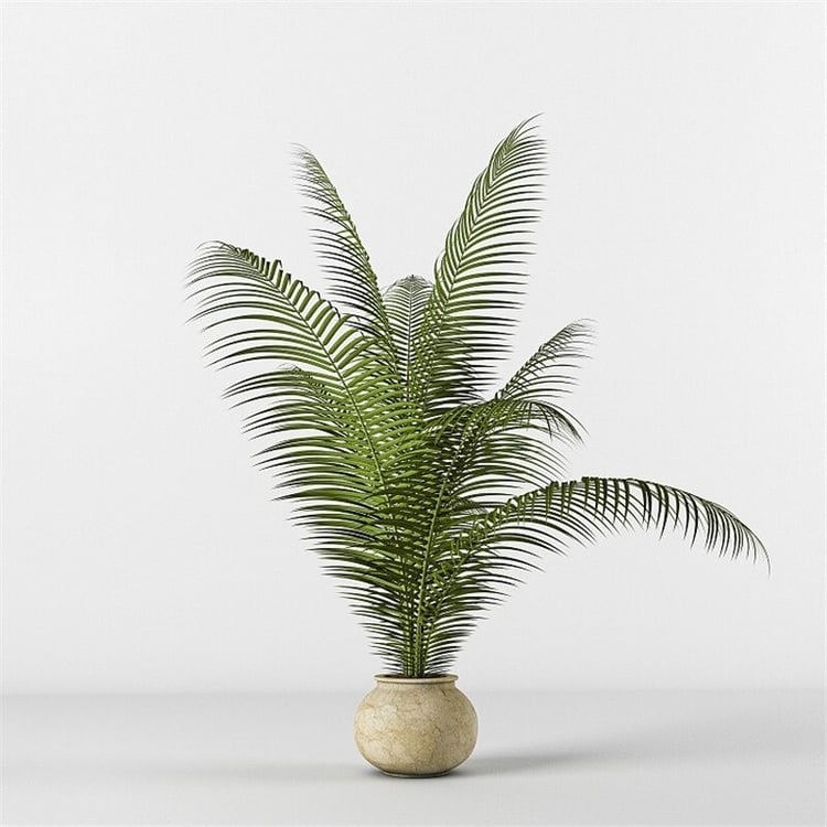 Productfoto