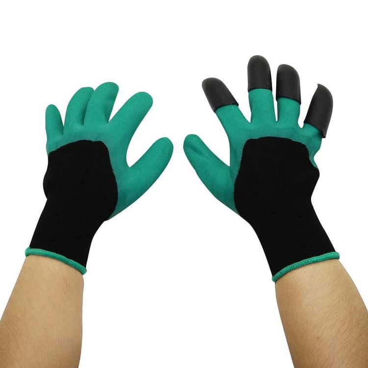 Product photo