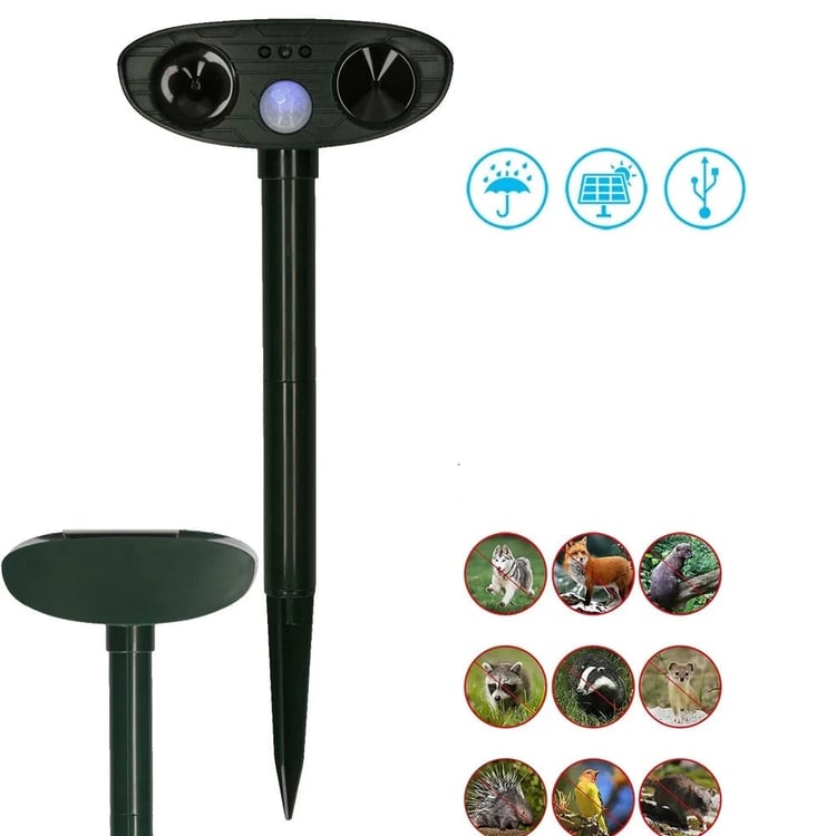 Productfoto