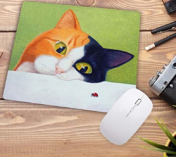 Product photo