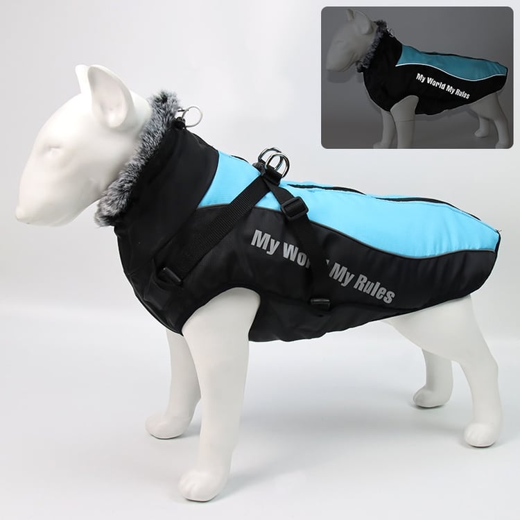 Product photo