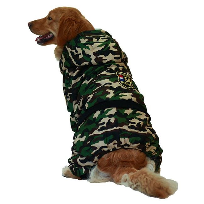 Product photo