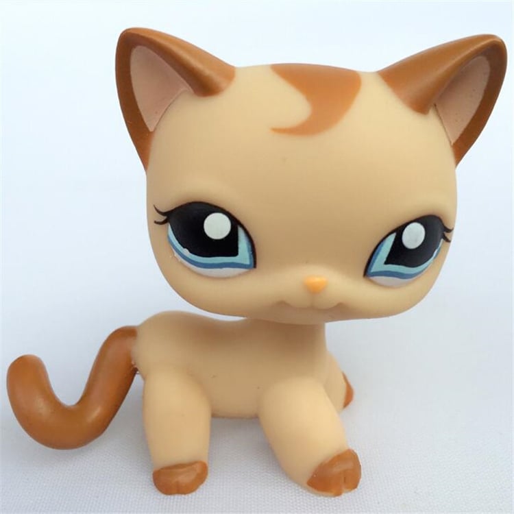Product photo