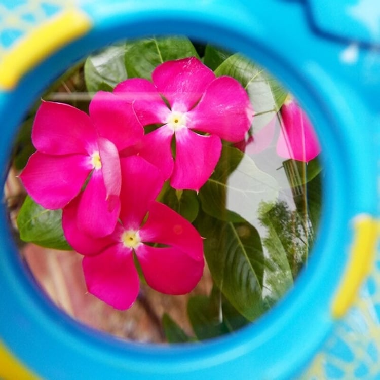 Productfoto