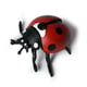 Productfoto