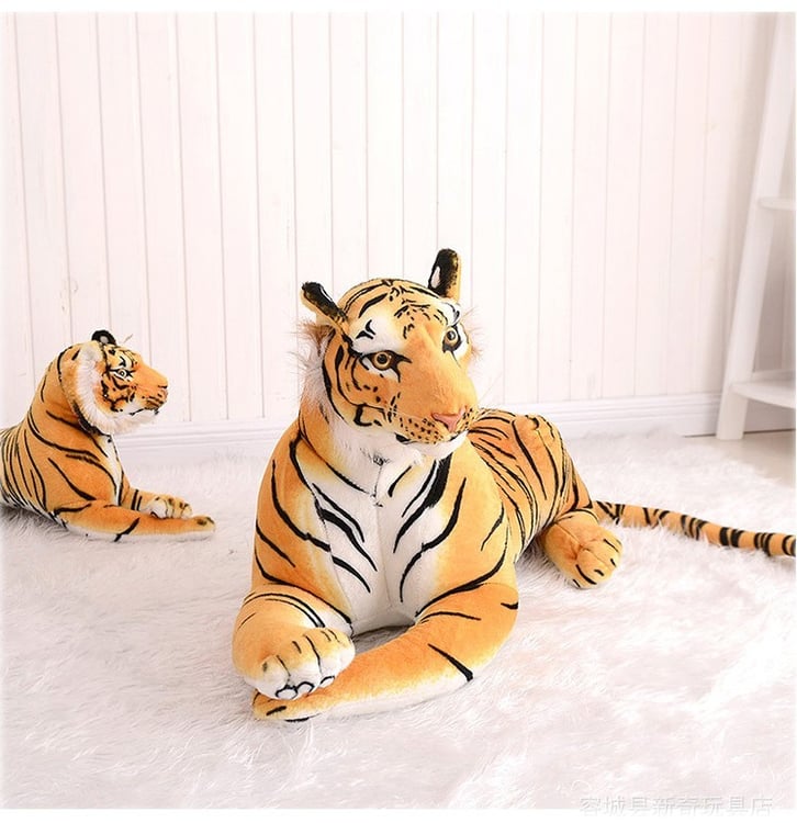 Productfoto