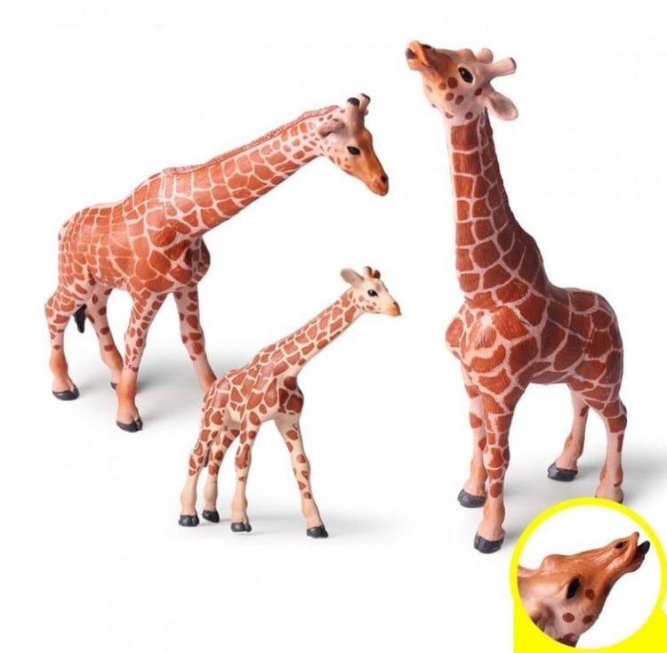 Productfoto