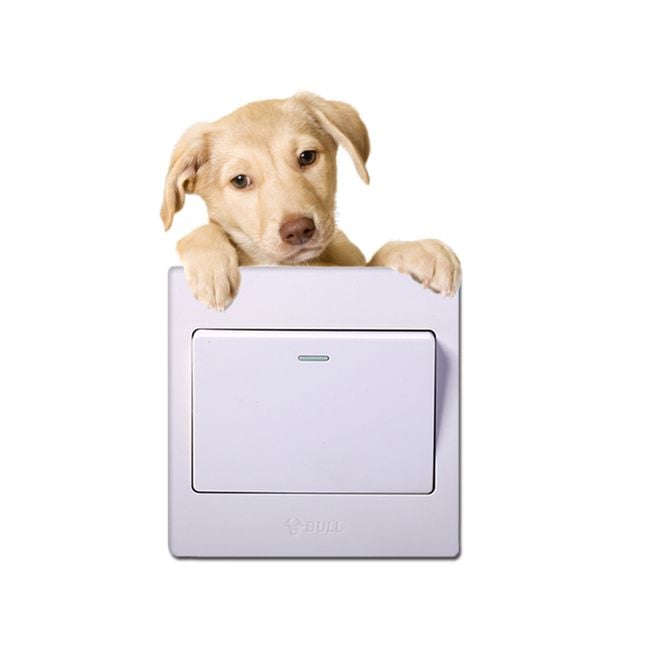Product photo