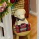 Productfoto