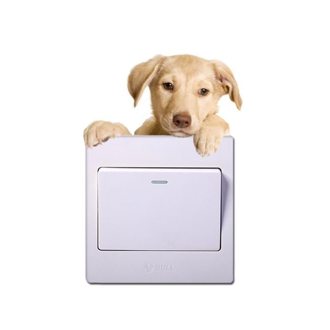 Product photo