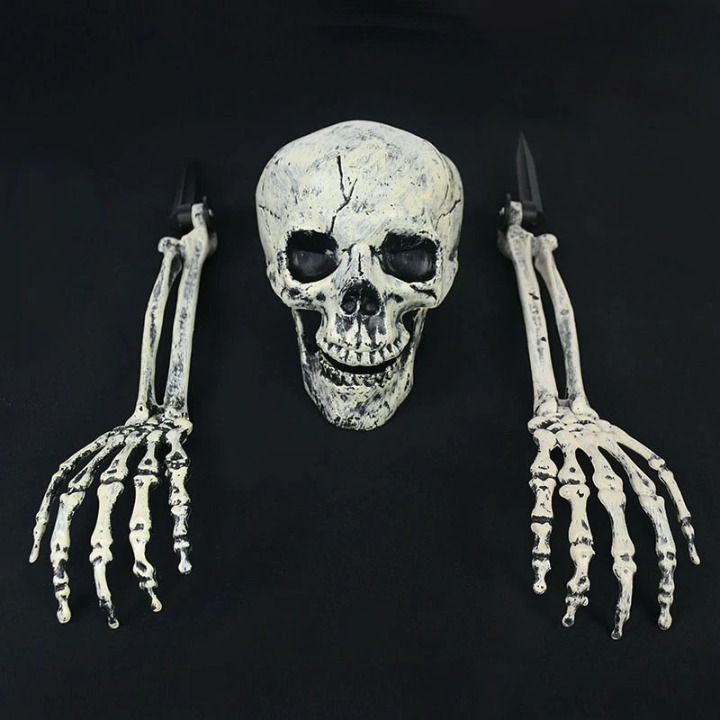 Product photo