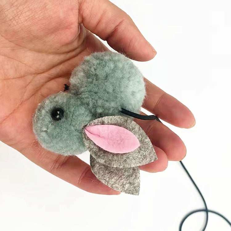 Product photo