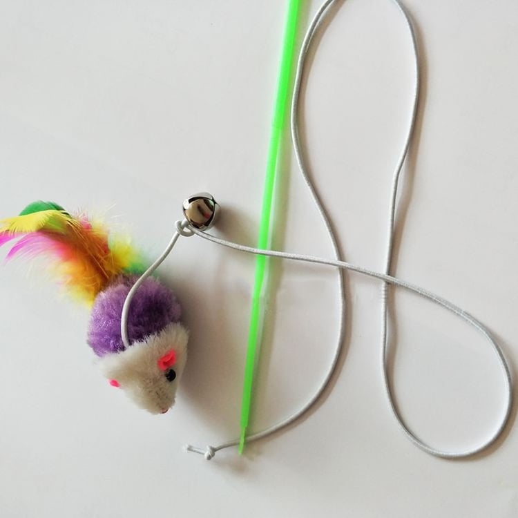 Product photo