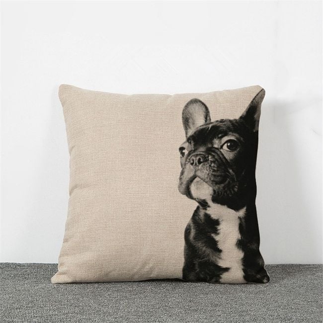 Productfoto