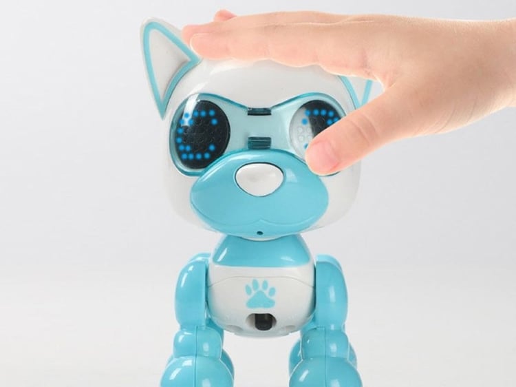 Product photo