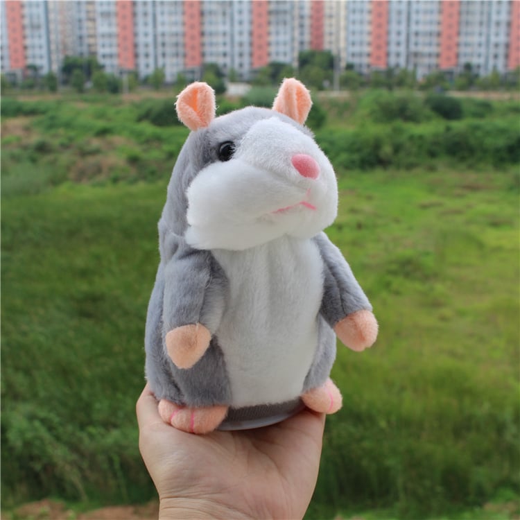 Product photo