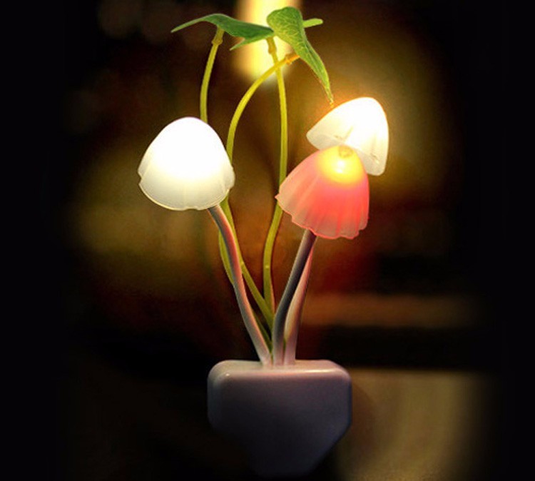 Productfoto