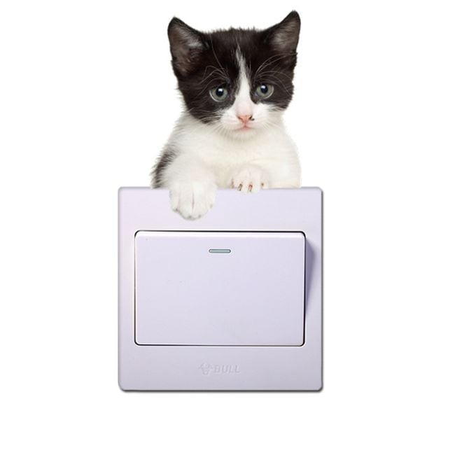 Product photo