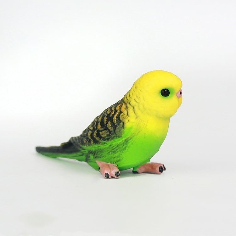 Productfoto