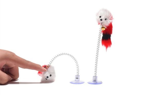Product photo