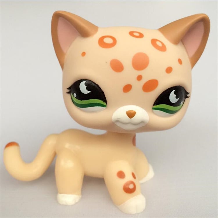 Product photo