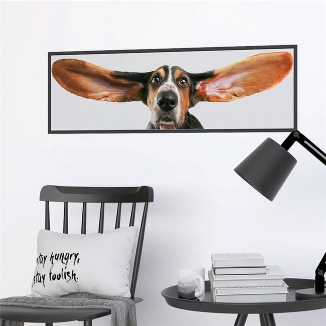 Product photo