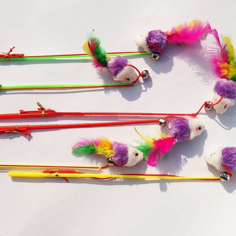 Product photo