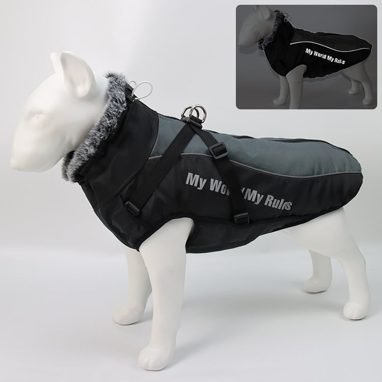 Product photo