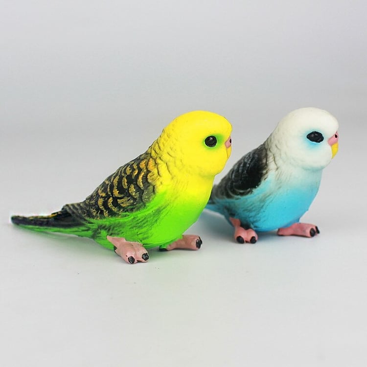 Productfoto