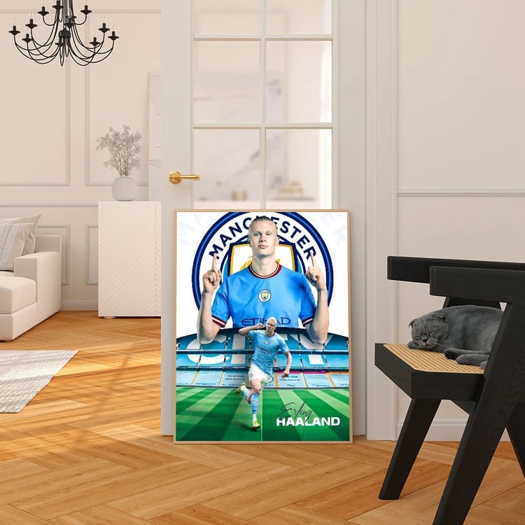 Photo du produit