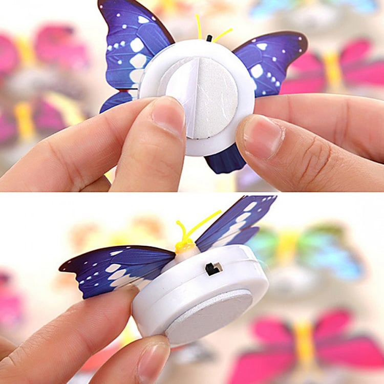 Productfoto