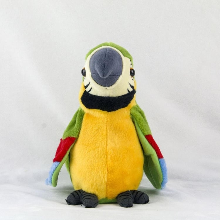 Productfoto